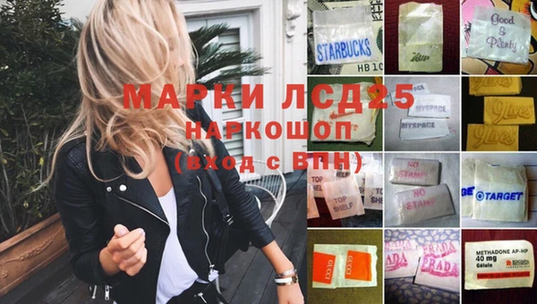 индика Балабаново