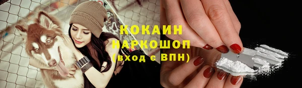 индика Балабаново