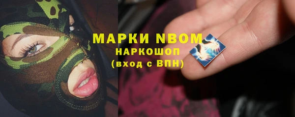 индика Балабаново