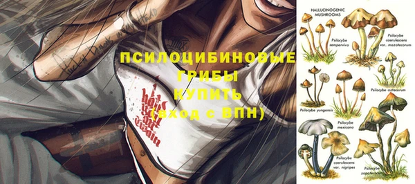 твердый Армянск