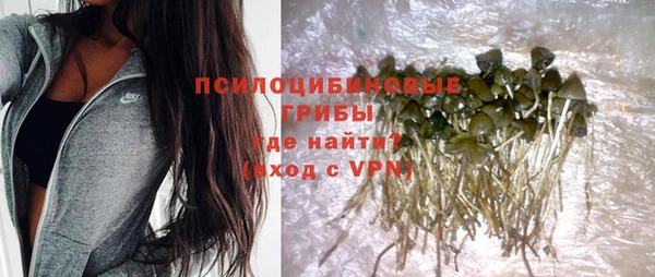 индика Балабаново
