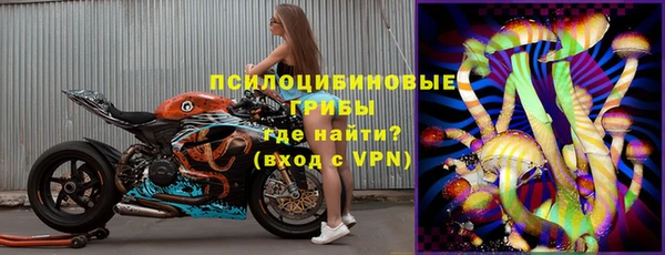 индика Балабаново