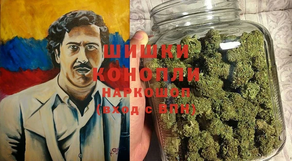 гидра Балахна