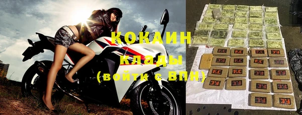 индика Балабаново