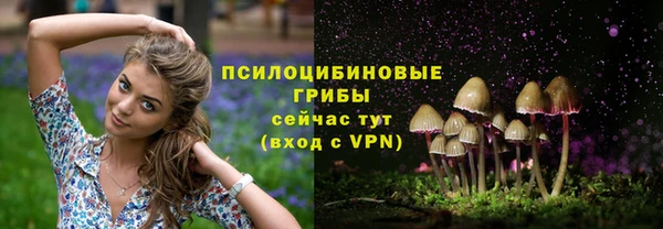 гидра Балахна